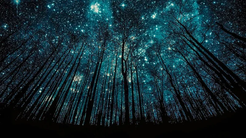 Blue Stars and Trees.jpg