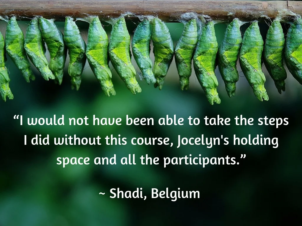 Testimonial - Shadi.jpg