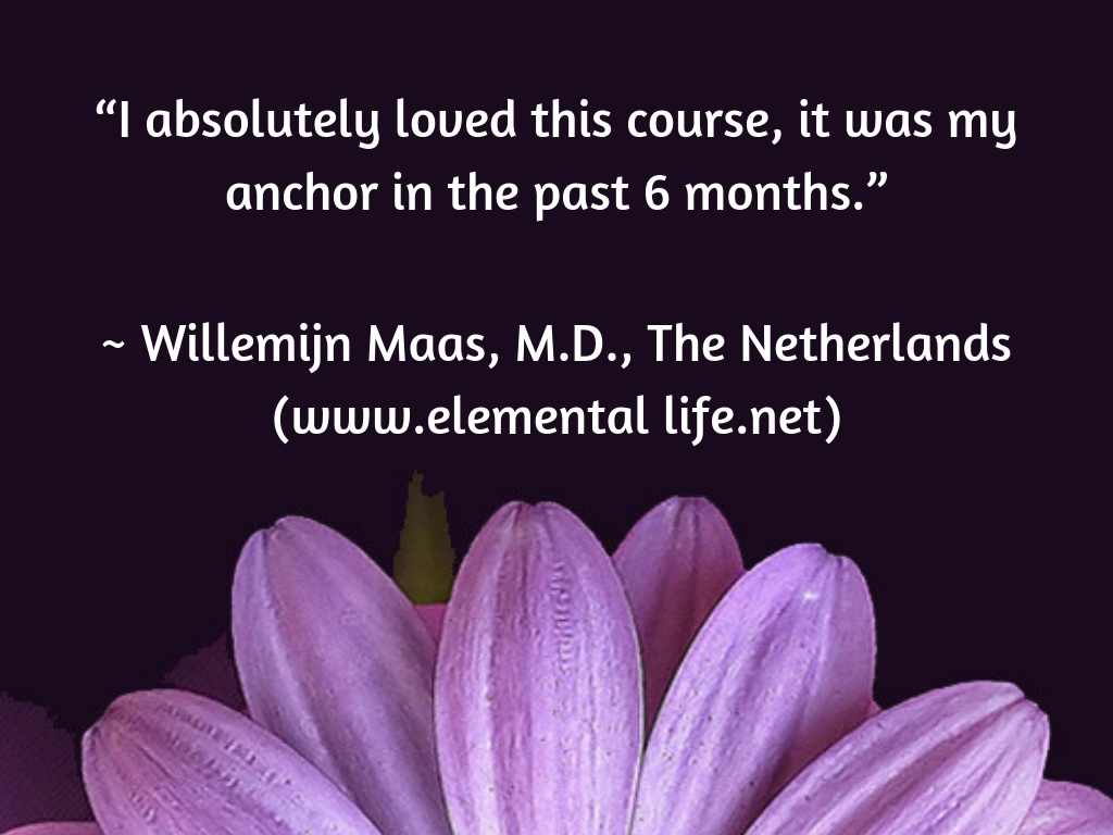 Testimonial - Willemijn.jpg