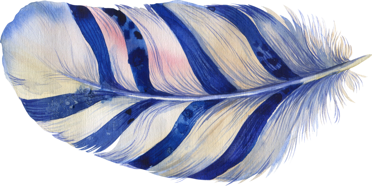 8 feather_1200x599.png