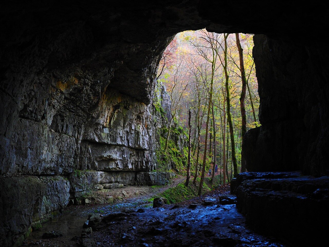 Cave Nature Portal_1280.jpg