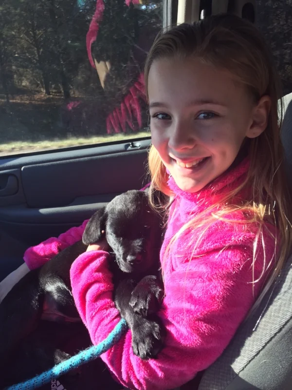 Even the pup gets some quality time in the van.