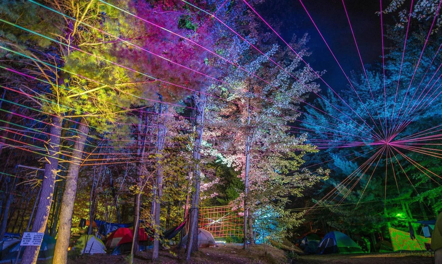 LIGHTS and STRINGS.jpg