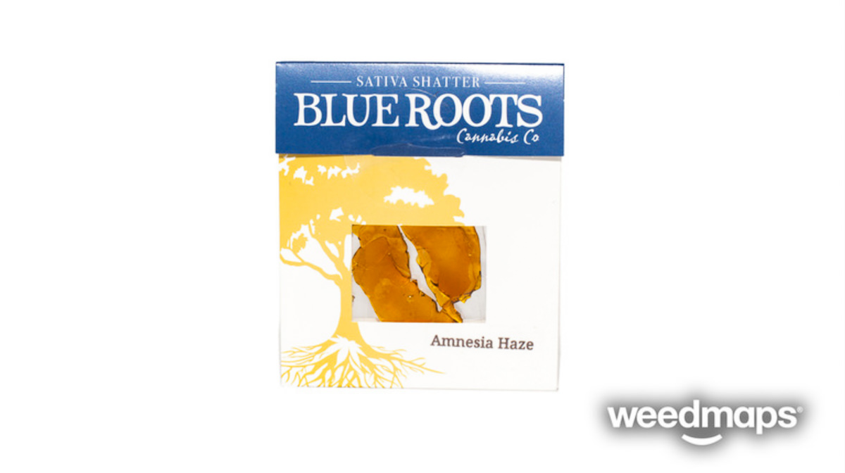 blue-roots-cannabis-amnesia-haze-1.jpg