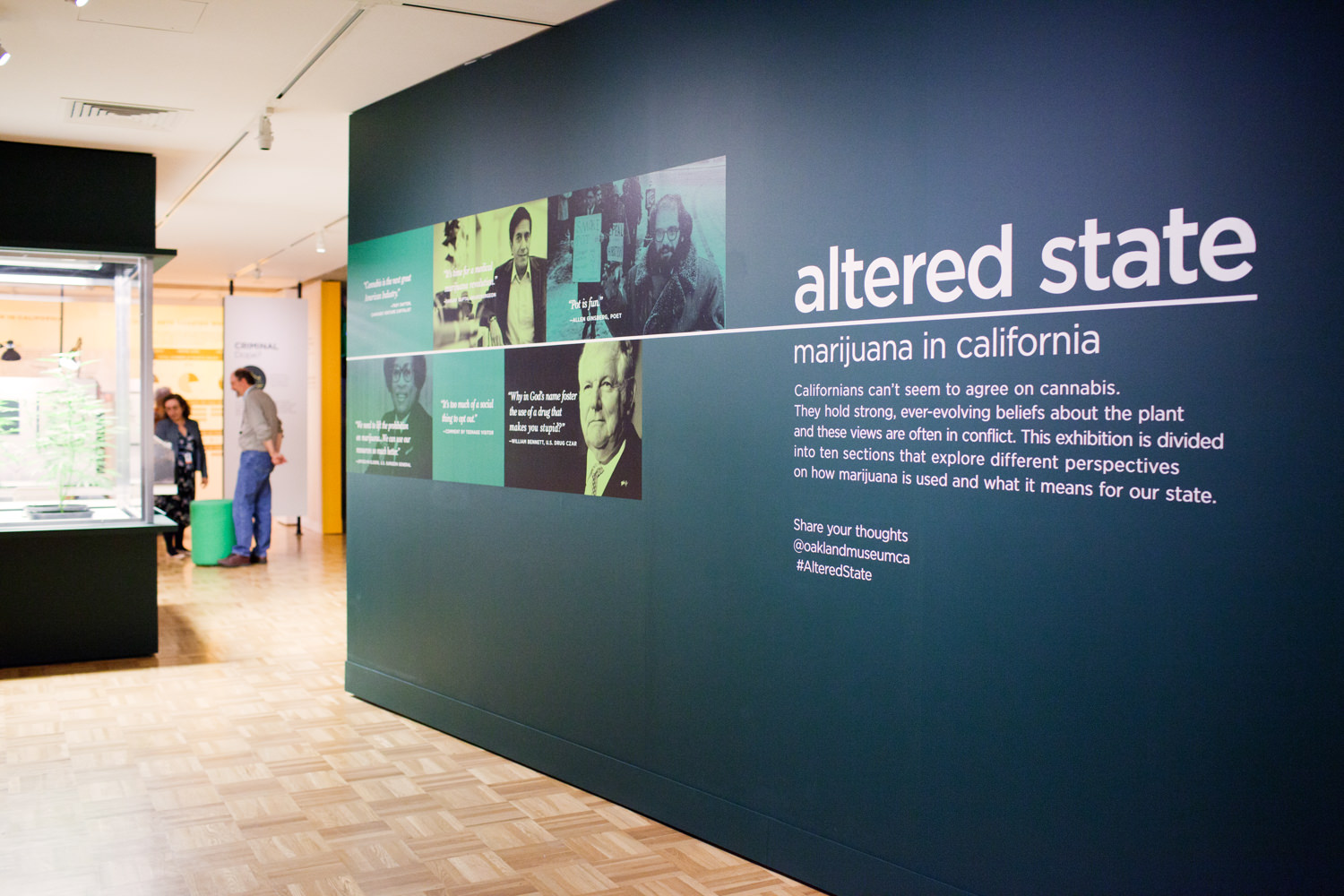 Oakland Museum of California Altered State: Marijuana in Califor