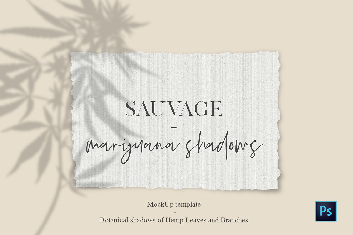 front-cover-.jpg