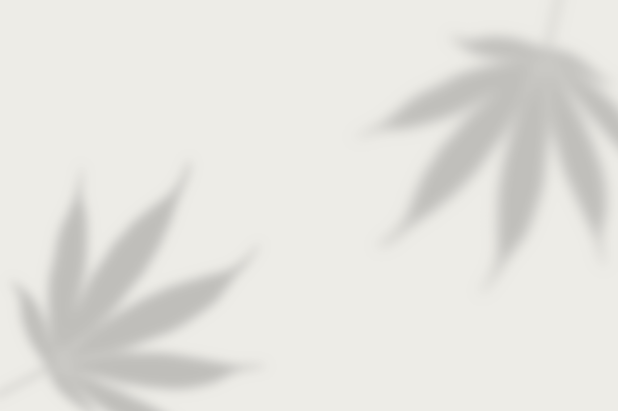 apfd-shadow-banner-background-02.gif