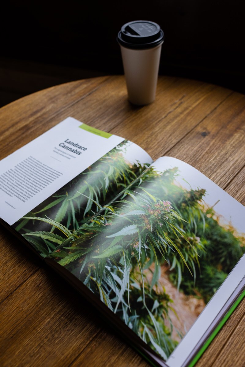  Weed: A Connoisseur’s Guide to Cannabis published by Epic Ink Books, written by Ellen Holland, featuring photography by Kristen Angelo 