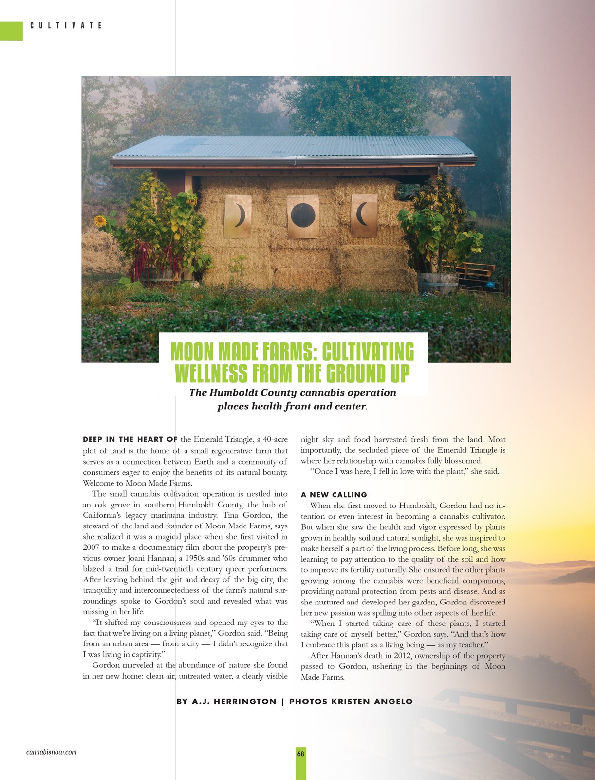  Editorial cannabis farm photography by Kristen Angelo / A Pot FarmerÕs Daughter for Cannabis Now Magazine Issue 42 