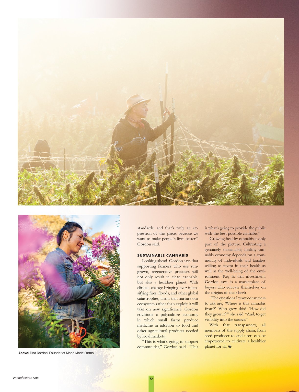  Editorial cannabis farm photography by Kristen Angelo / A Pot FarmerÕs Daughter for Cannabis Now Magazine Issue 42 