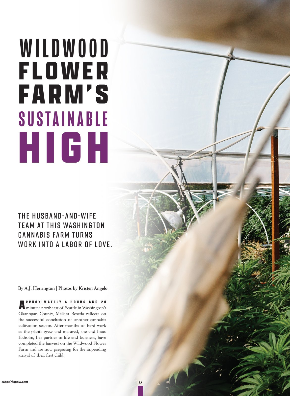  Wildwood Flower Farm brand storytelling cannabis photography by Kristen Angelo / A Pot FarmerÕs Daughter for Cannabis Now Magazine Issue 43 