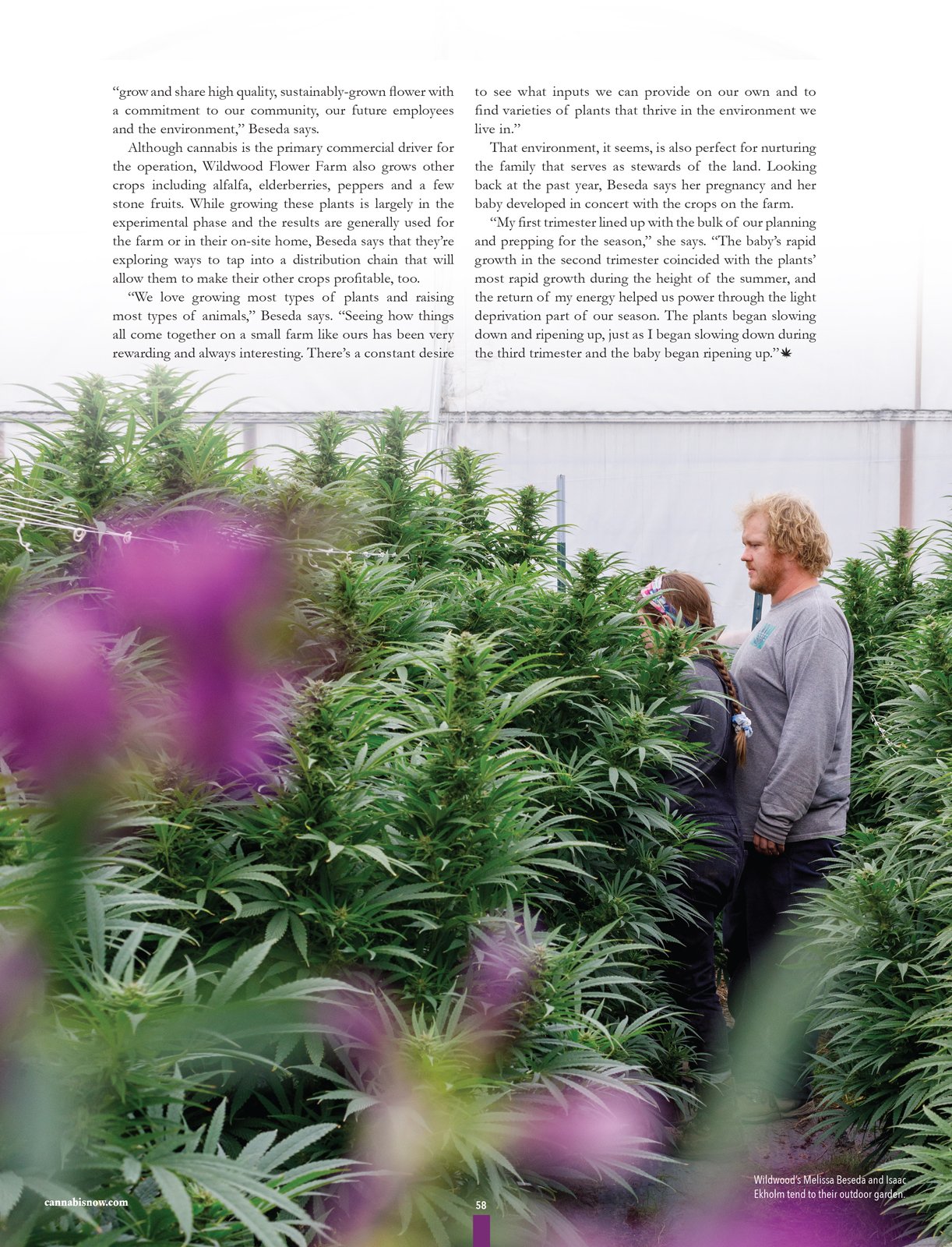  Wildwood Flower Farm brand storytelling cannabis photography by Kristen Angelo / A Pot FarmerÕs Daughter for Cannabis Now Magazine Issue 43 