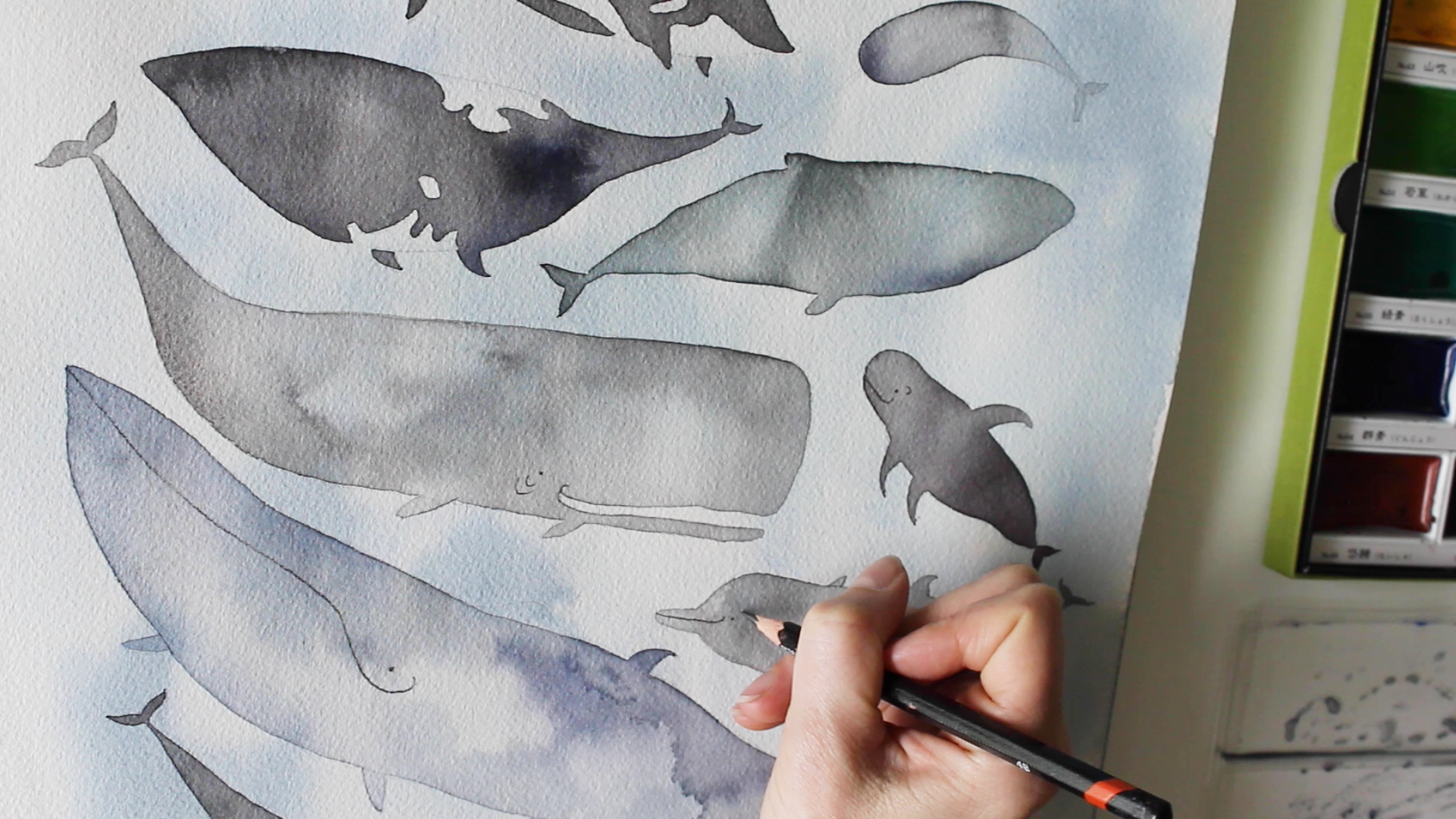 jessengle_whales_howto.png