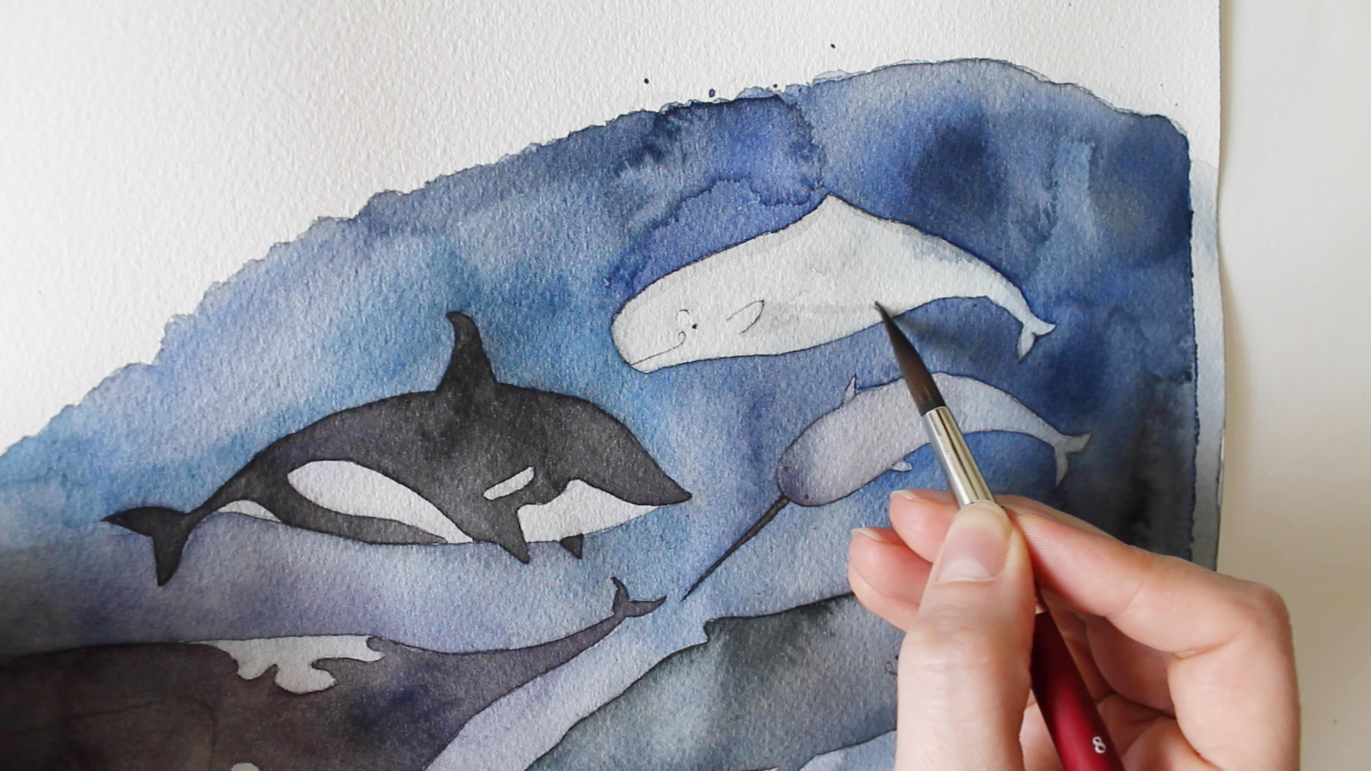 jessengle_whales_howto.png