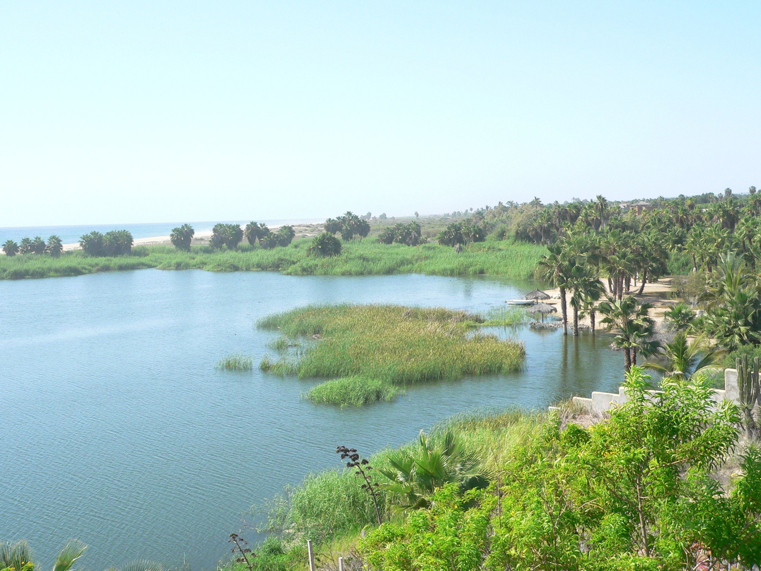 P1000601.JPG
