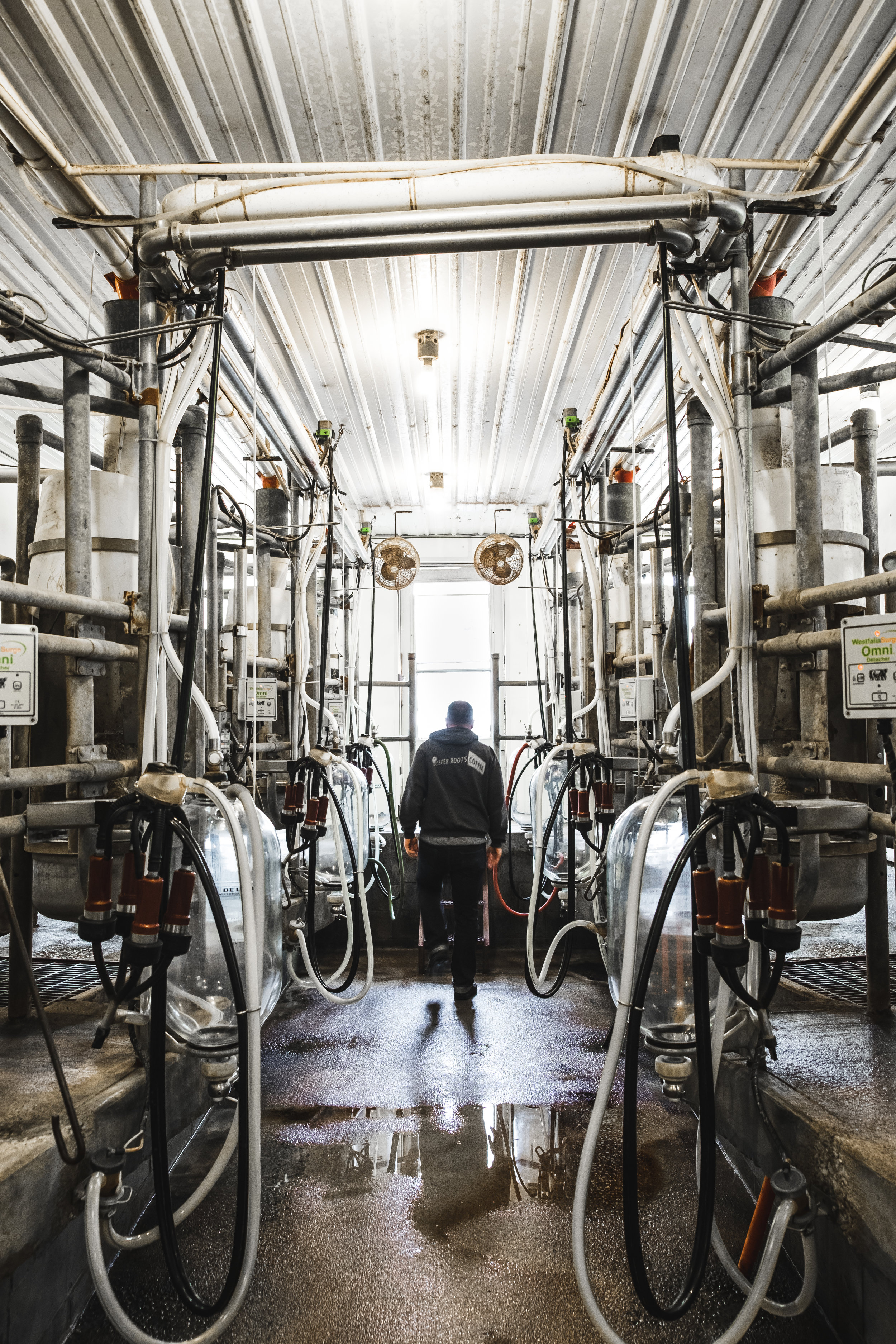 Jon in the milking room