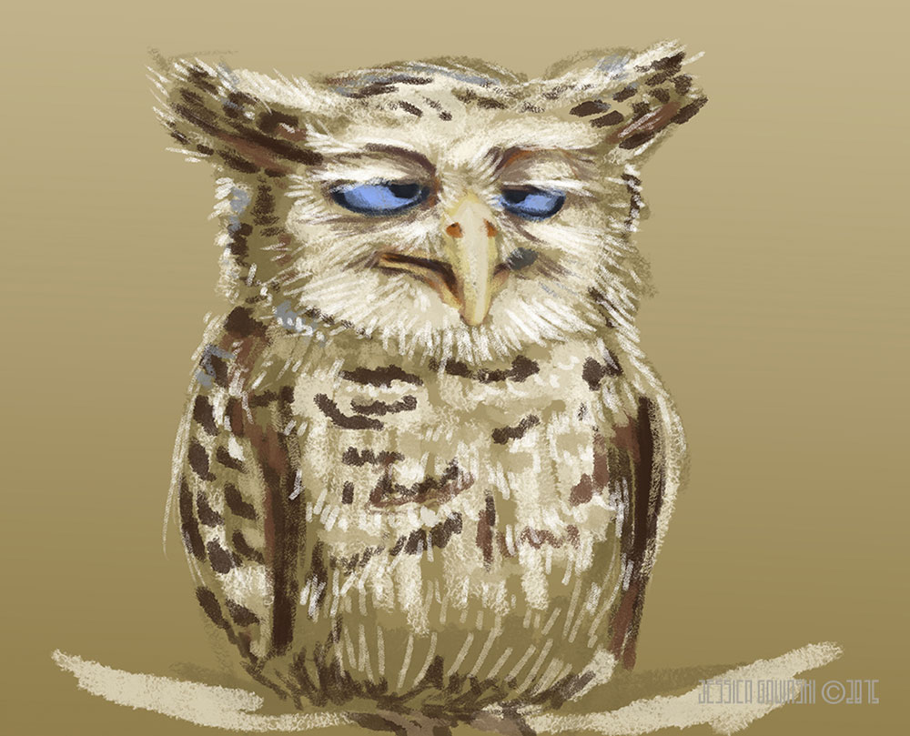 Grumpy Owl by Jessica Gawinski.jpg