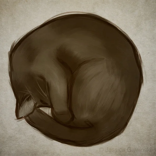 Curled by Jessica Gawinski.jpg