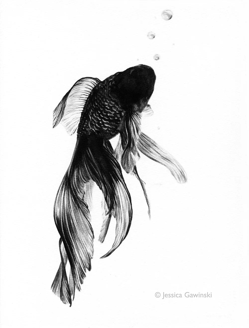 Goldfish by Jessica Gawinski.jpg
