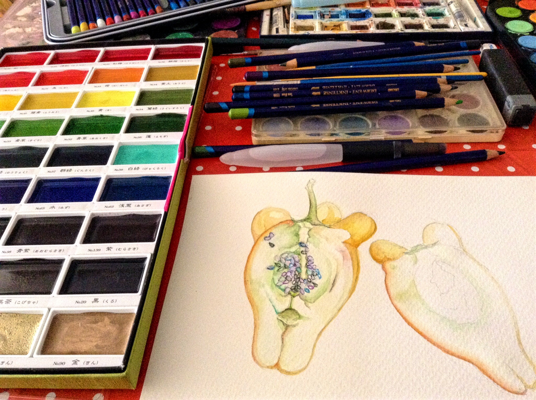 Watercolour has become a meditative practice. I found this very weird fruit called ´teta de vaca´' which is used to cure fungi but is poisonous to eat!