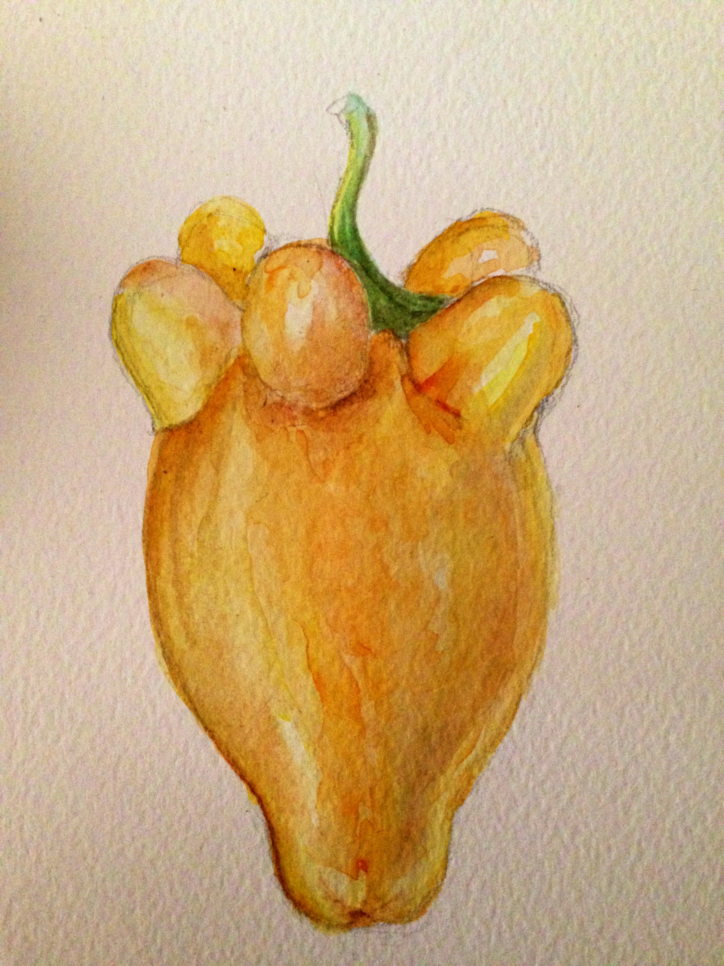 The finished watercolour of the whole fruit...
