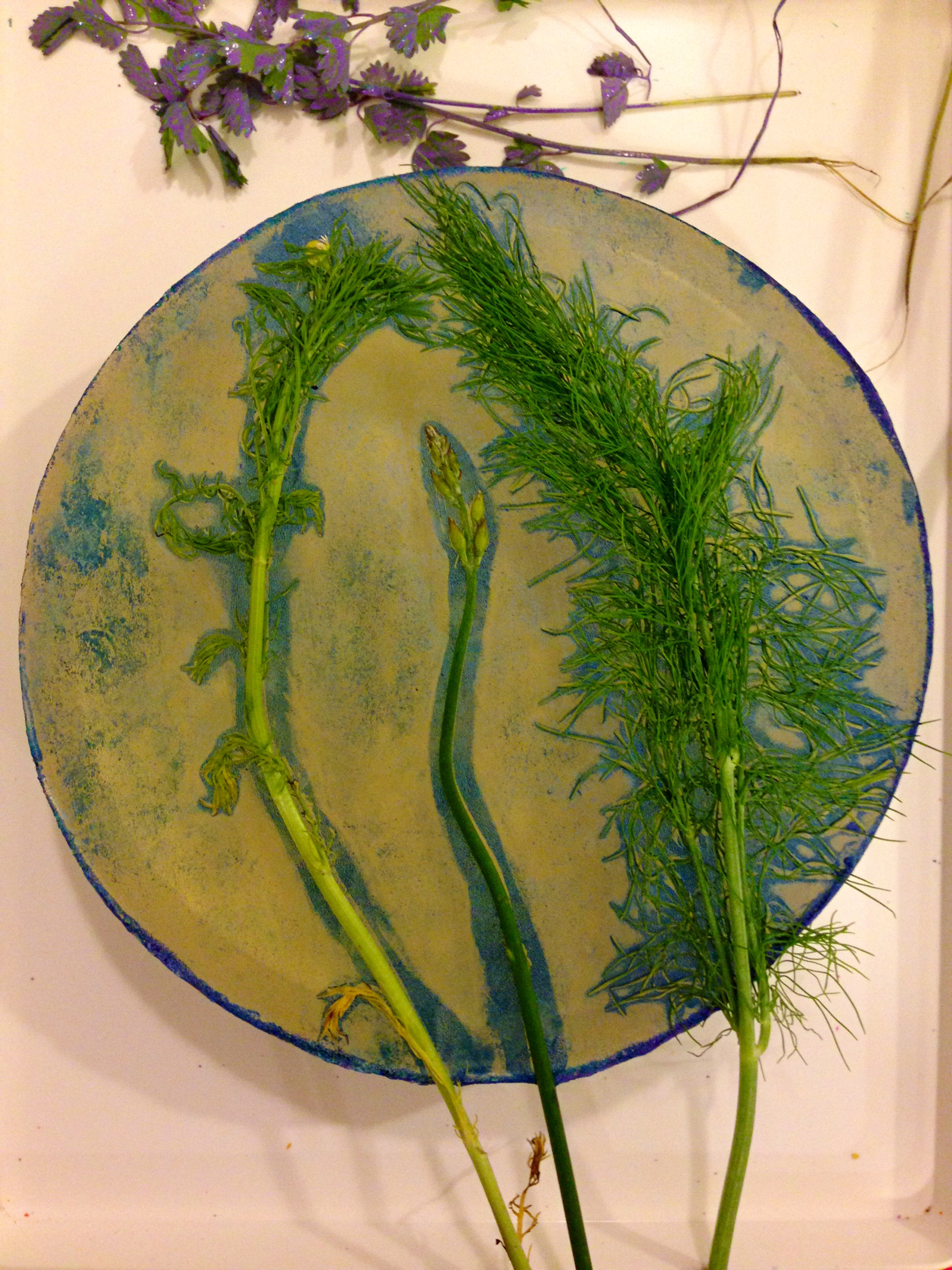 Fennel and rue