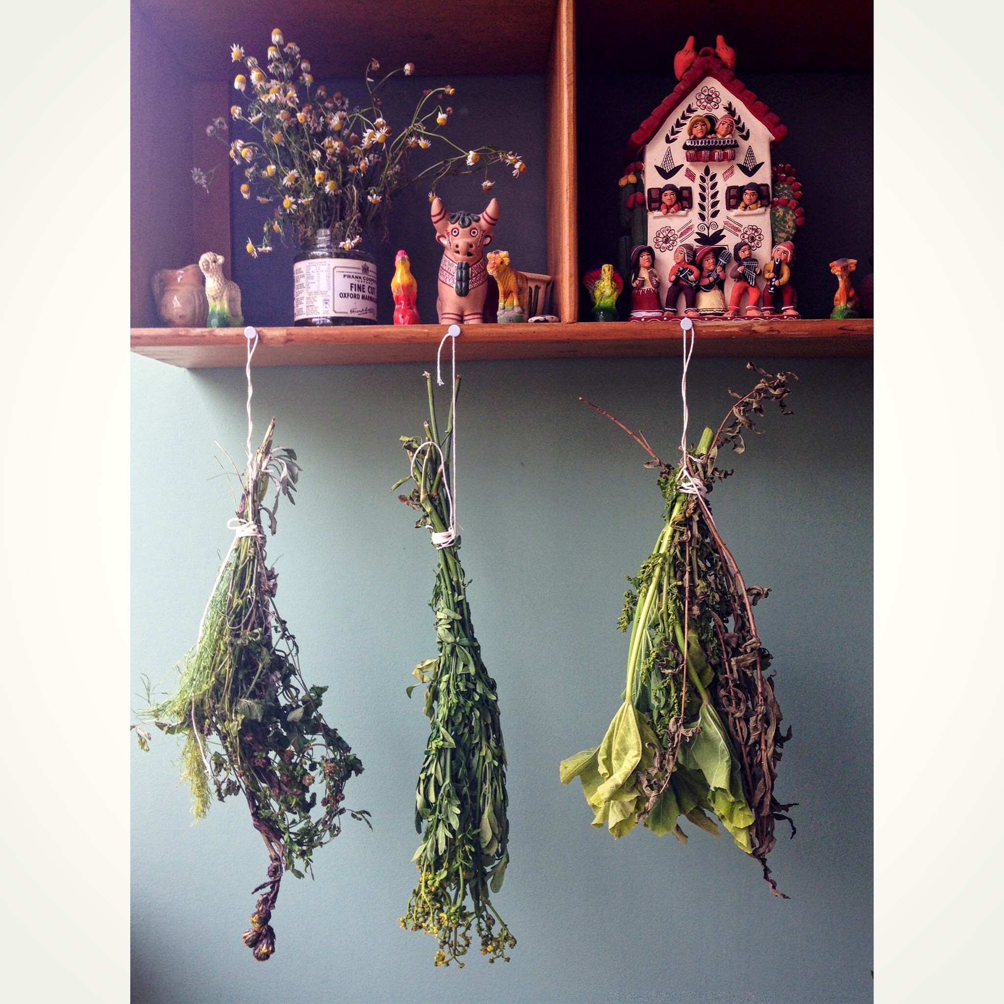 Hanging upside down so they can dry a bit before I can use them to print with