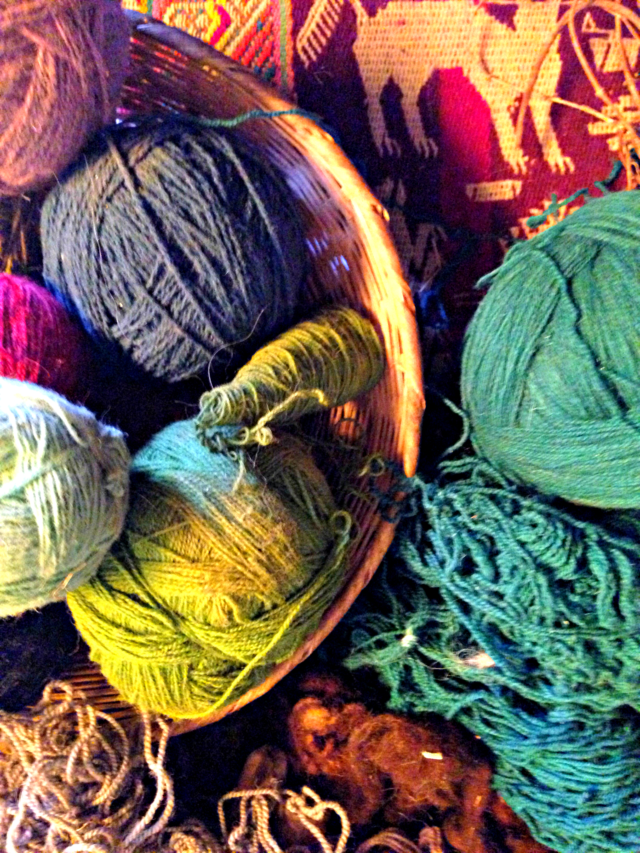 Elena and Felícita, her friend gave me a class on yarn dyeing. They also took me outside to find some of the plants they use to obtain different colours.
