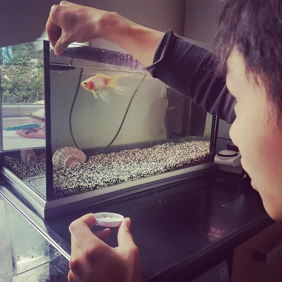 vincent fish.jpg