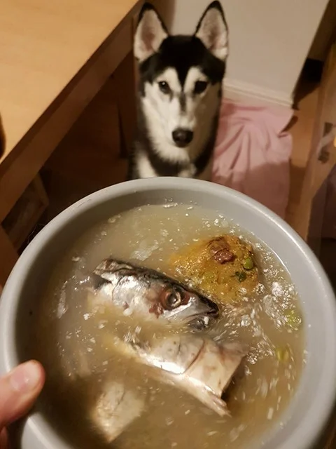 Viv loves hot mackerel stew- they're raw under the skin surface