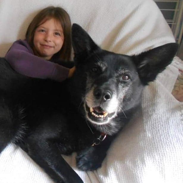 In memory of Rex, my best boy