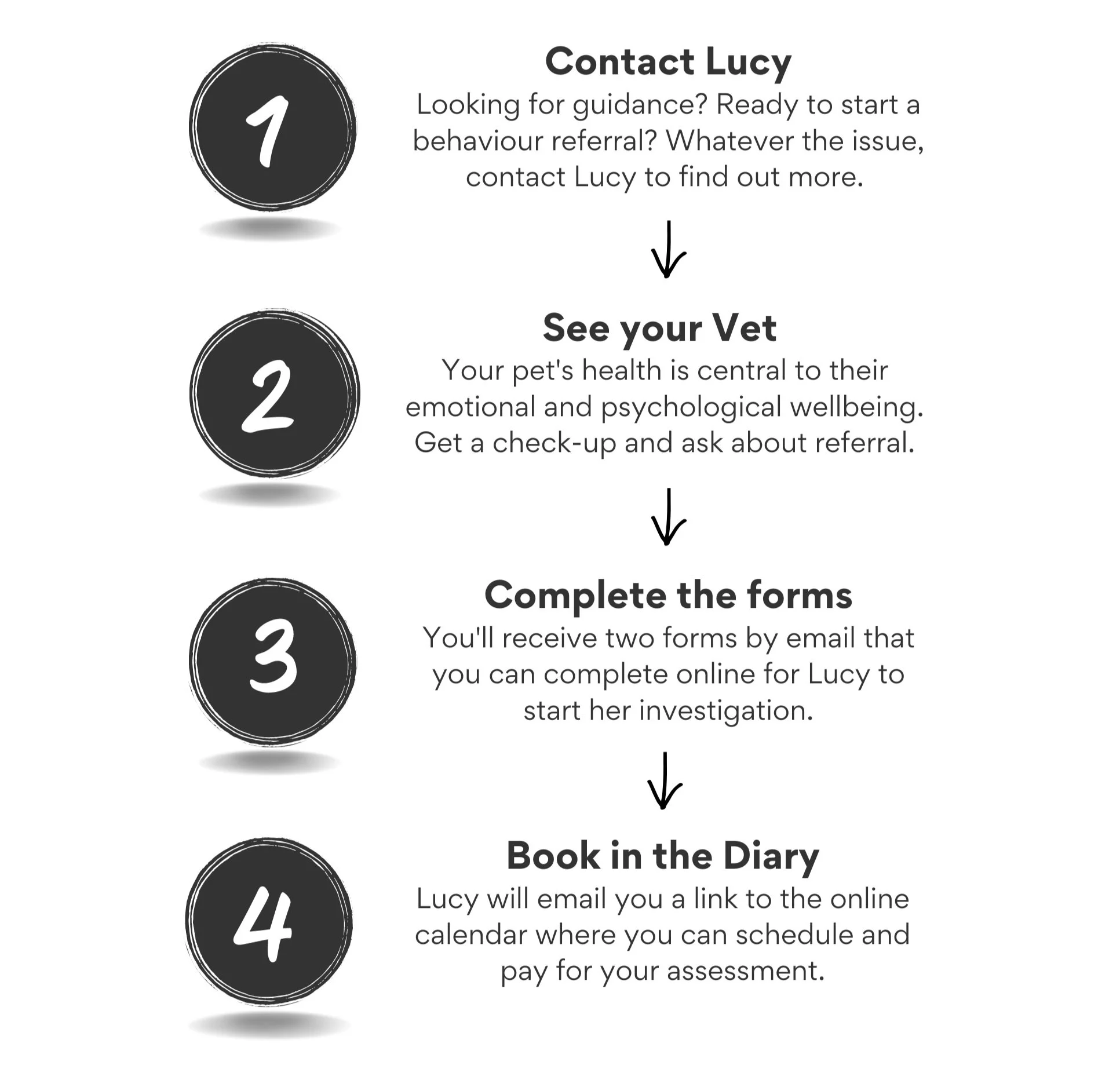 Dog Behaviourist in Glossop Lucy Animal Behaviour Coach