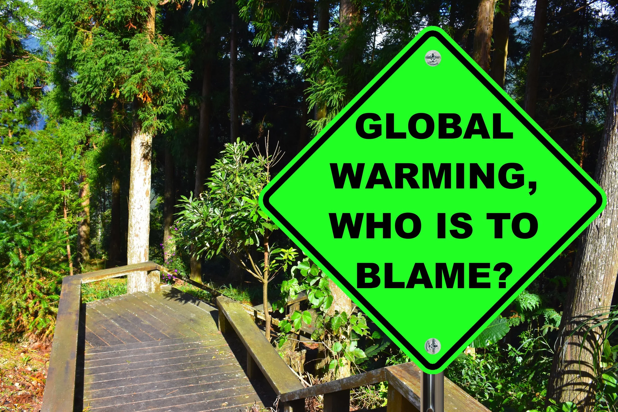 Who is to Blame.jpg