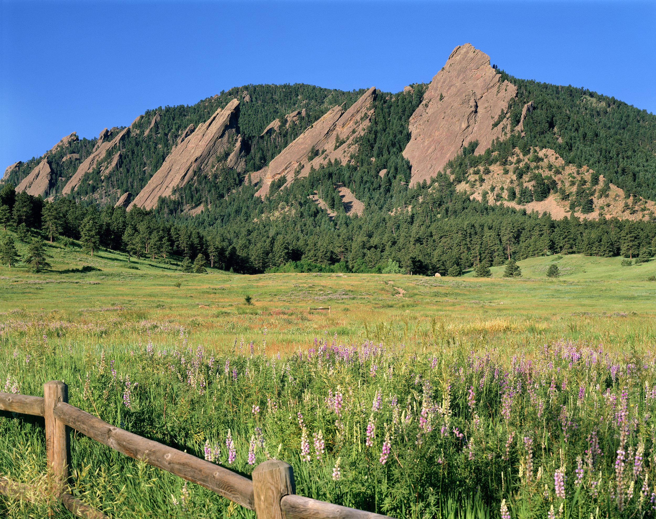 Flatirons Spring