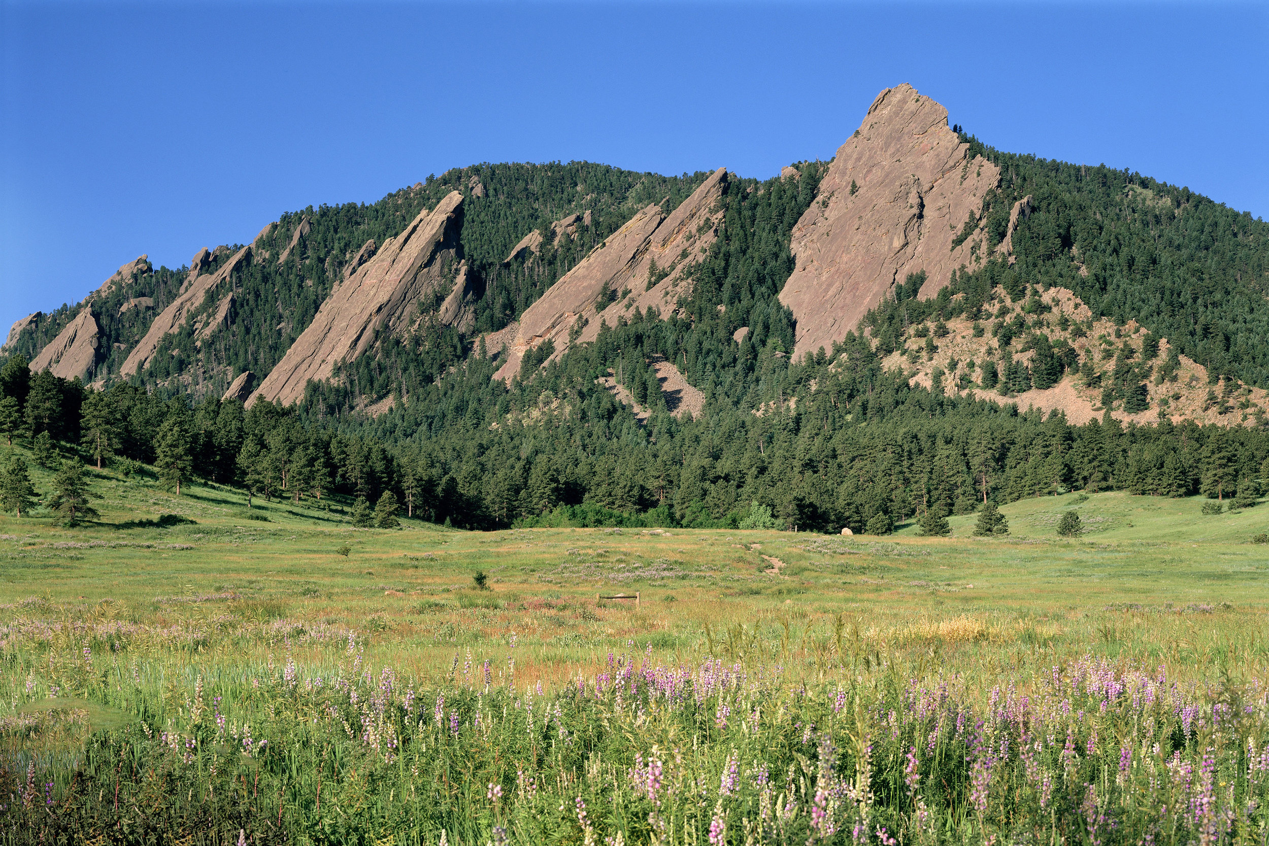 FlatironsSpring©BENKO.jpg