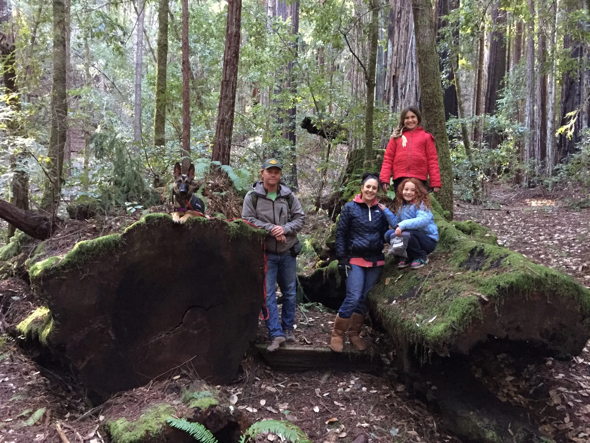 Gallery eric ella lea belisa big basin california Indy dog family 2015-01-03 12.42.03.jpg