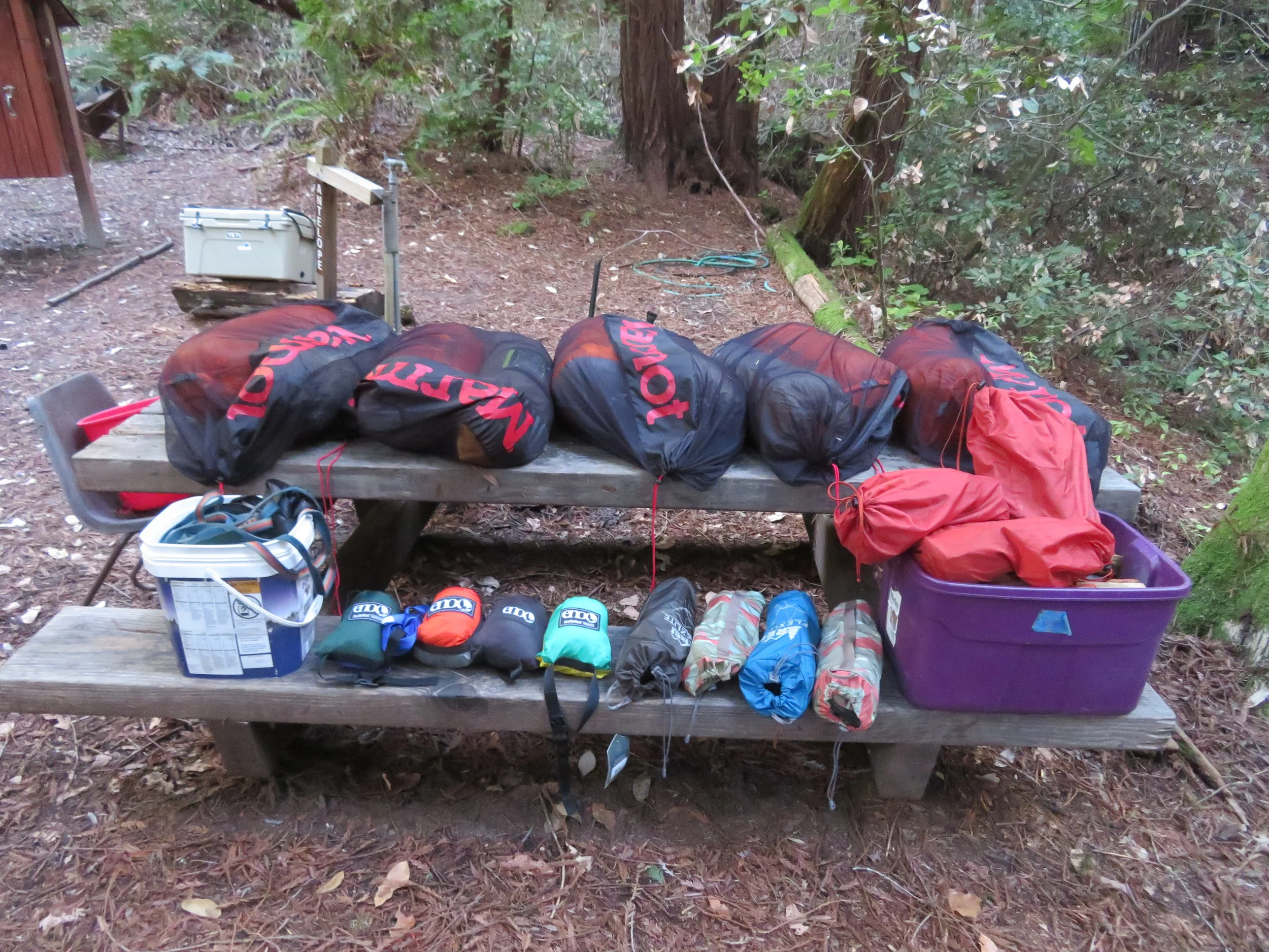 gear STG 001 and excursion camping redwoods (1).JPG