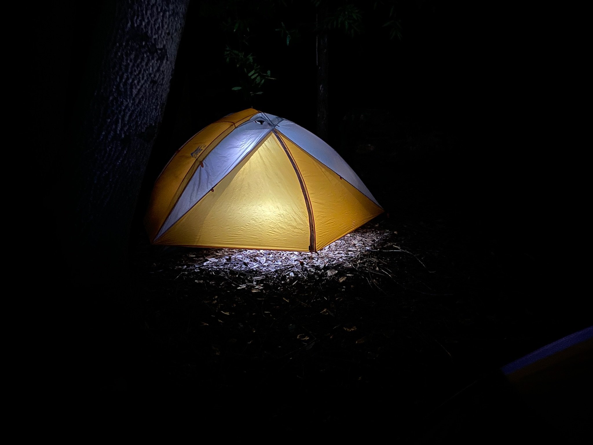 Excursion-Land-2022-tent-nightIMG_7691.JPG