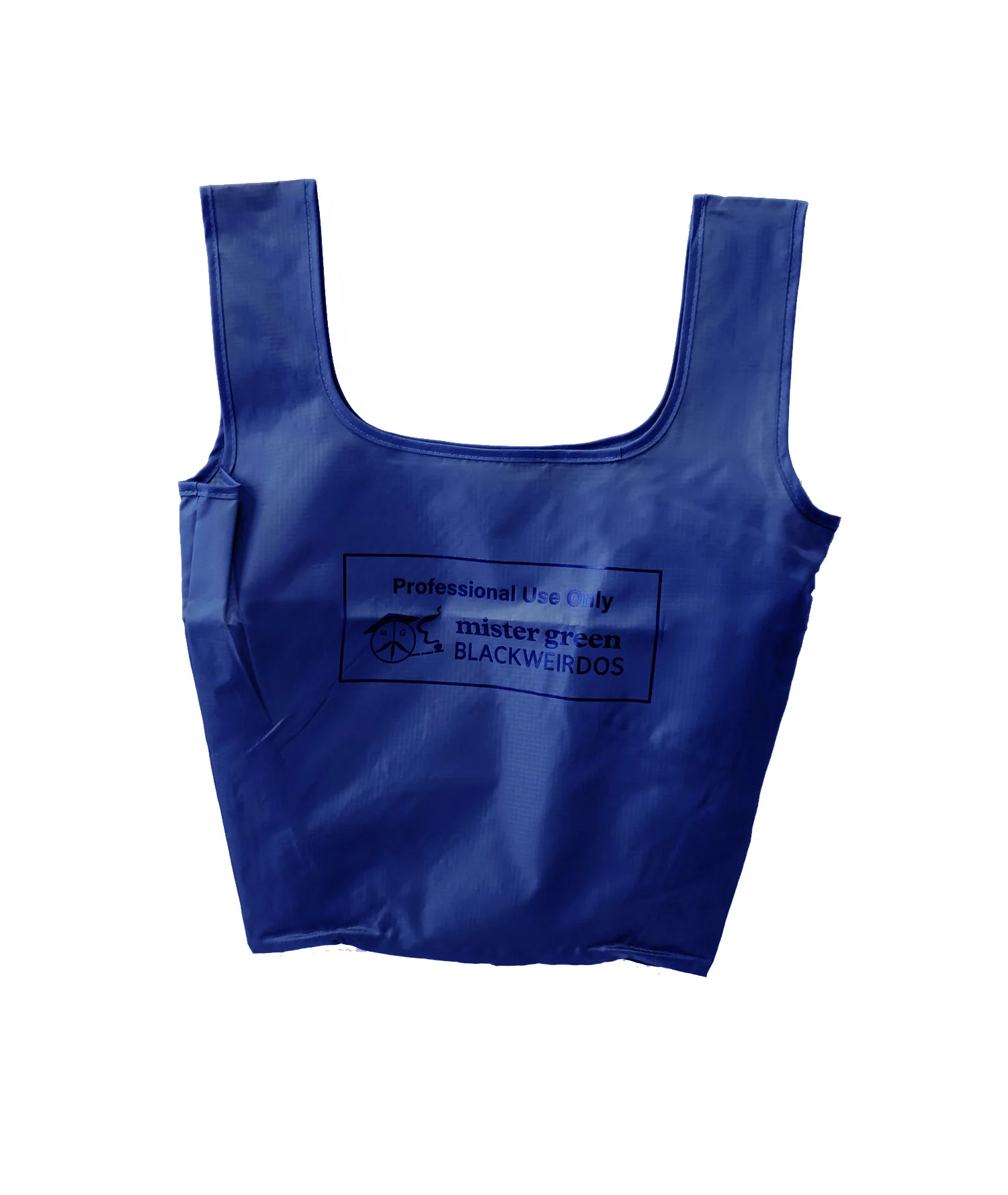 mistergreen_mrgreen__0004_Blue Bag Front.jpg