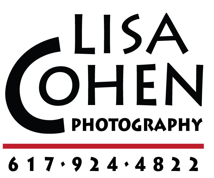 Lisa Cohen