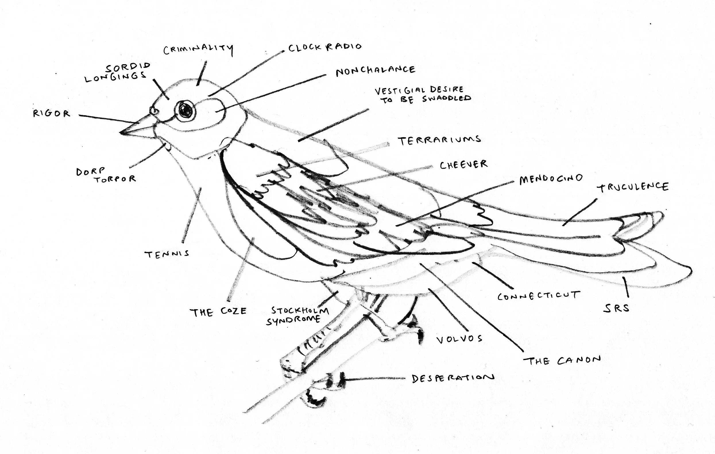 botanica flyer front.jpg