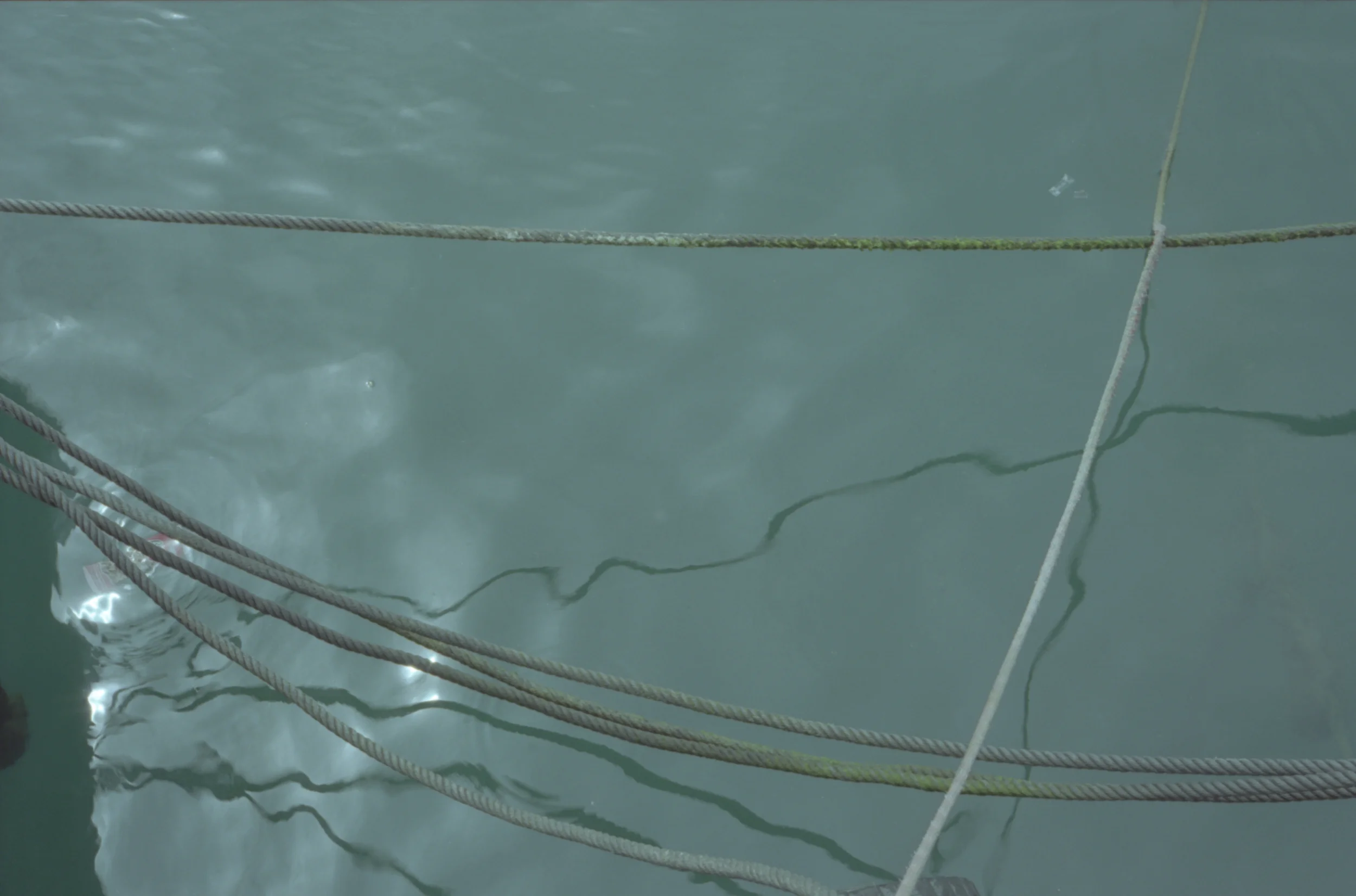 ropesinwater.jpg