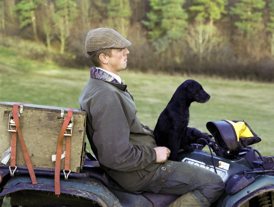 this little dog is one of many little dogs who sit in little boxes waiting to scurry down holes during foxhunts. 