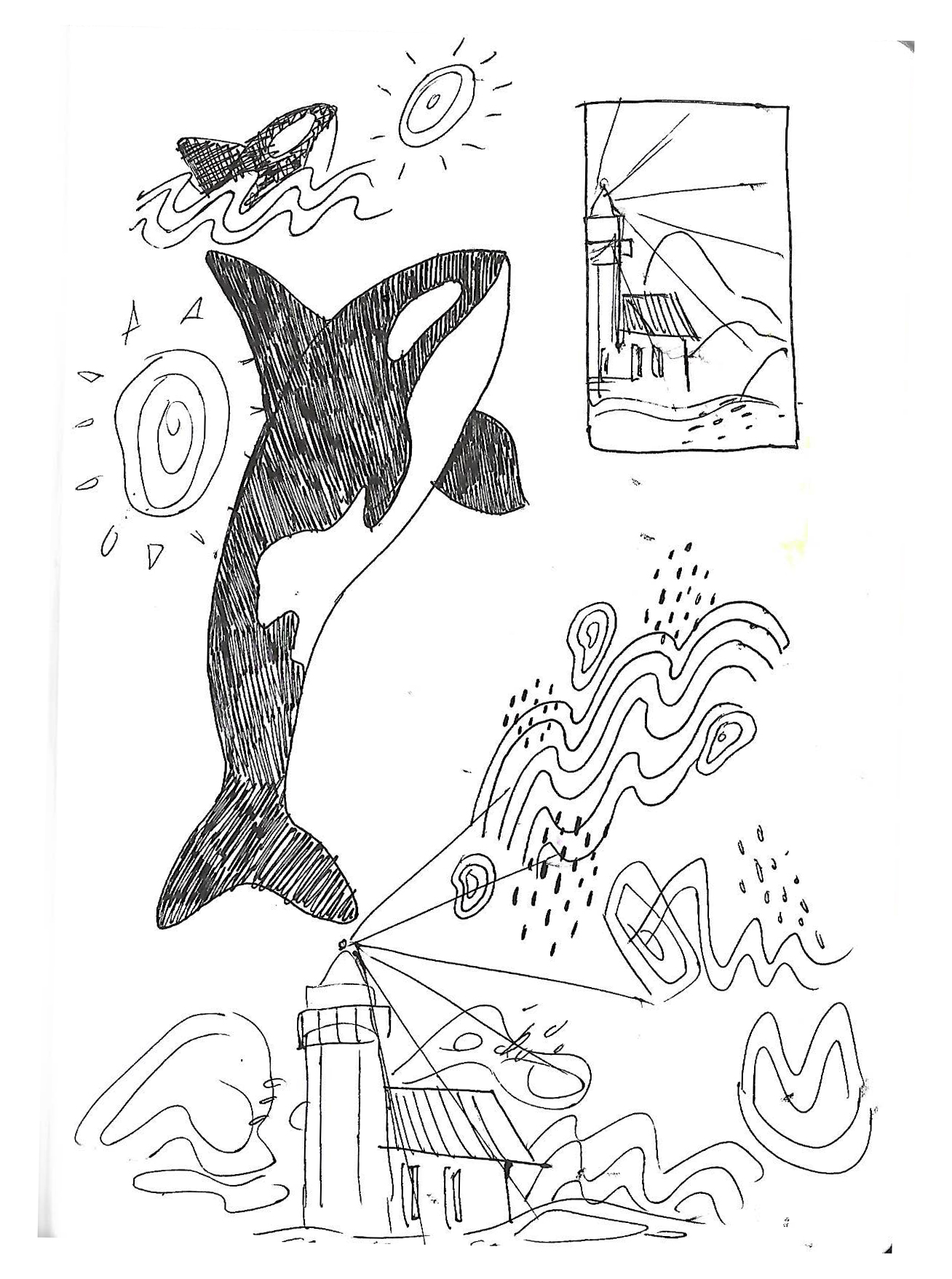 orcas process 2.jpg