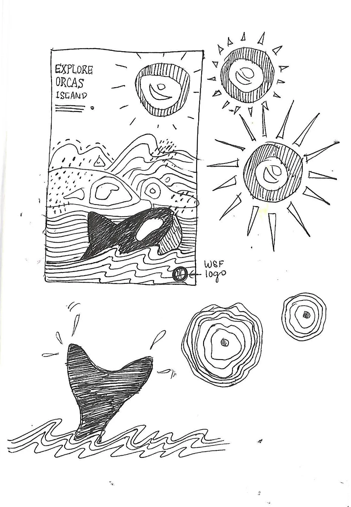 orcas process 3.jpg