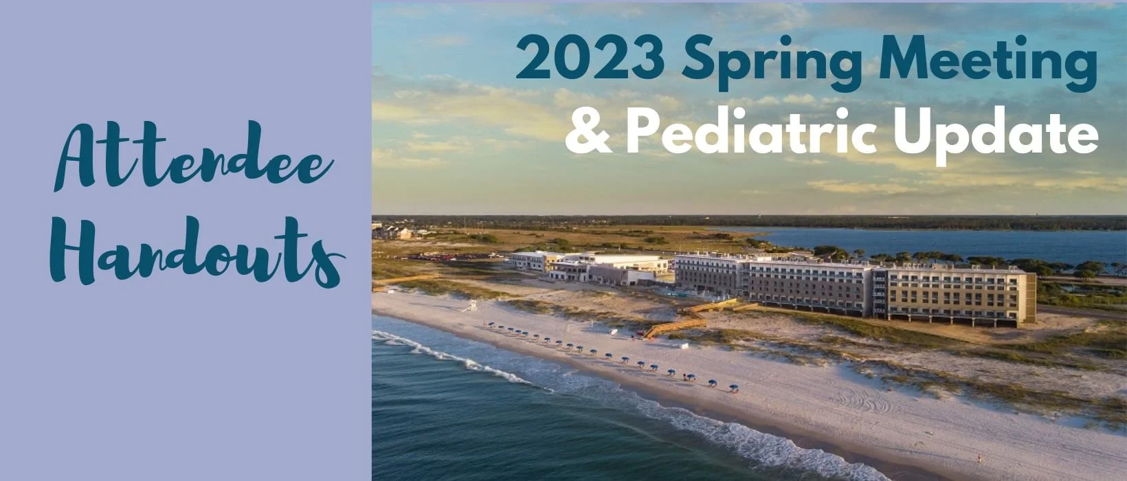 2023 Spring Meeting Attendee Handouts Page Header.jpg