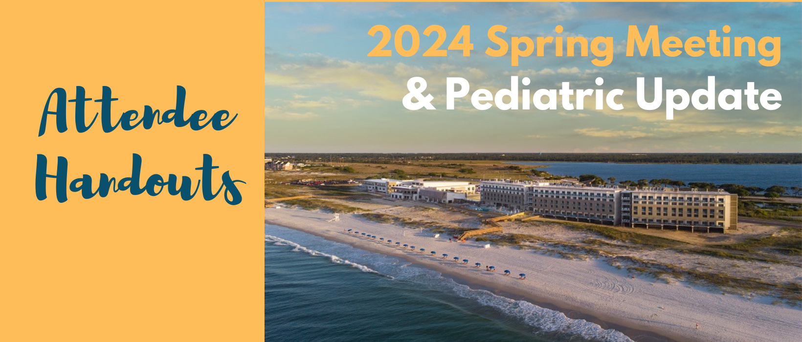 2024 Spring Meeting Attendee Handouts Page Header.png