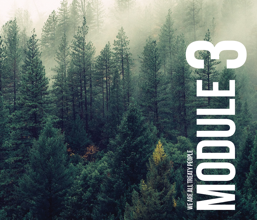 Module 3 cover.png