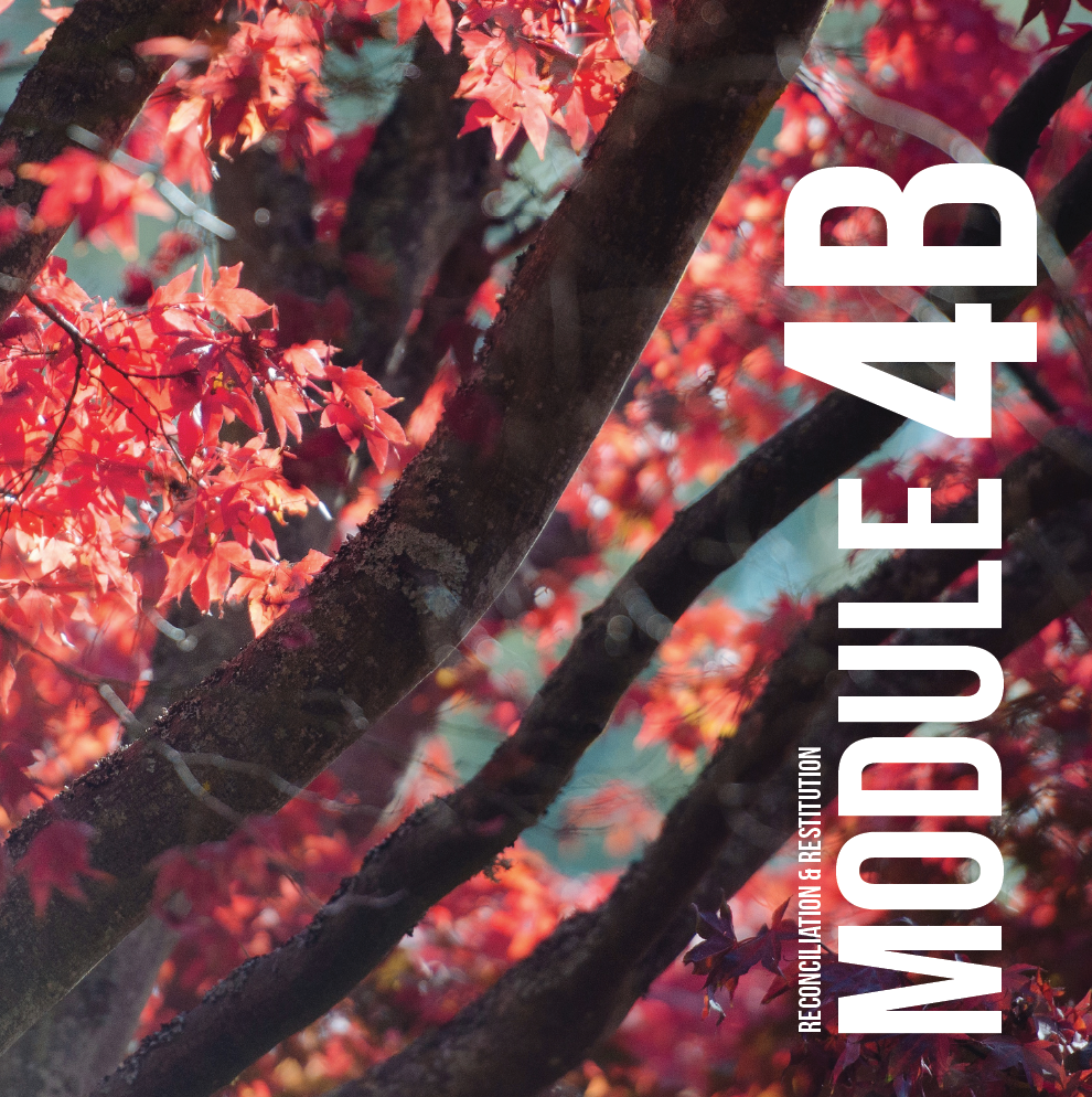 Module 4B cover.png