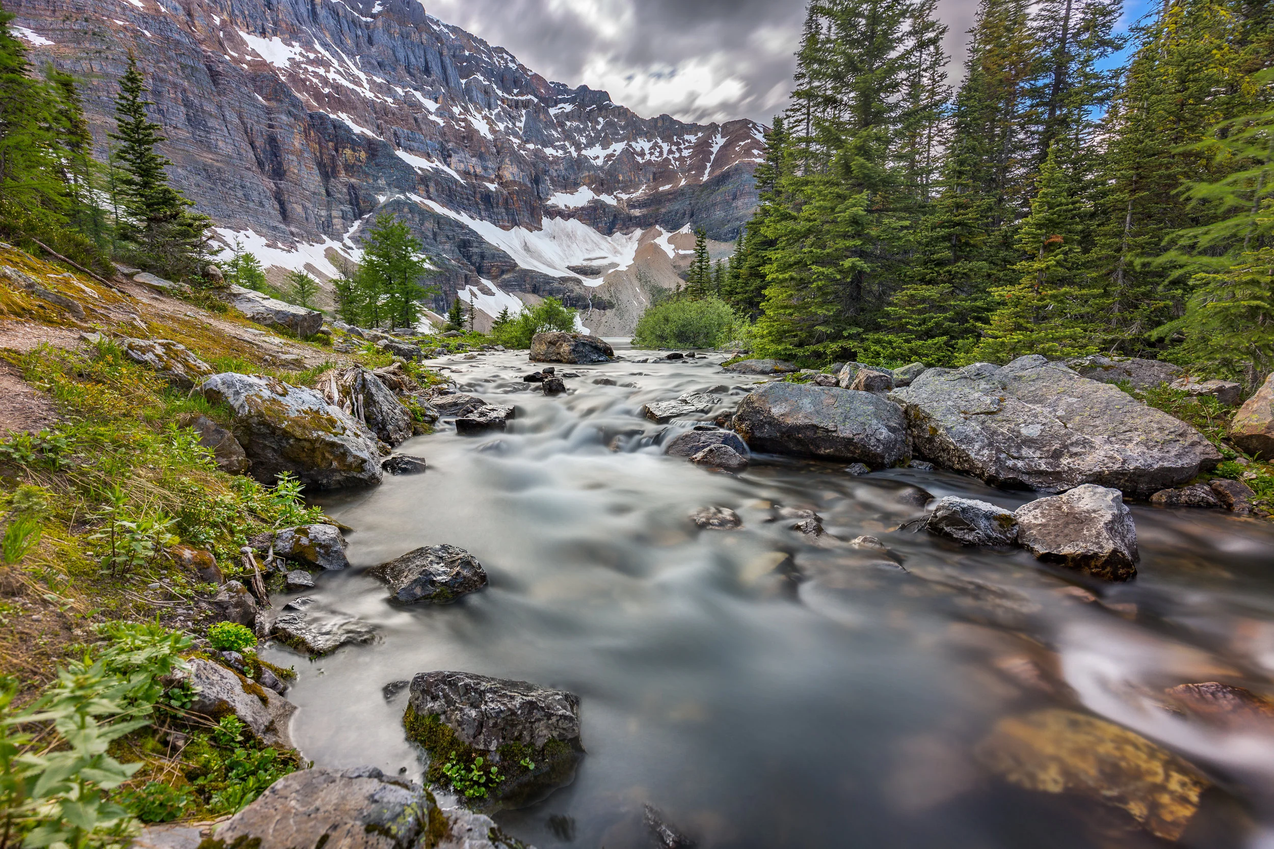 AdobeStock Alberta Wallpaper 3.jpeg